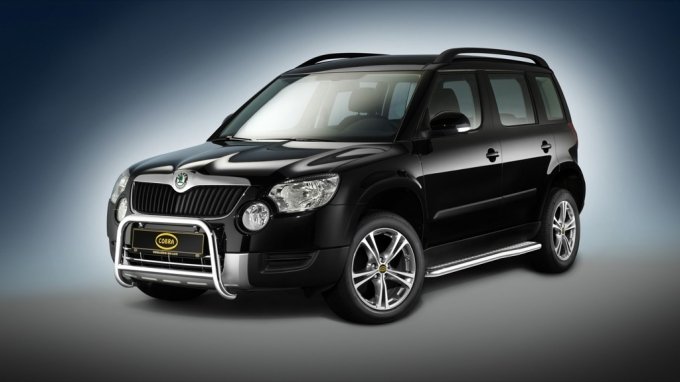 Skoda yeti store bull bar