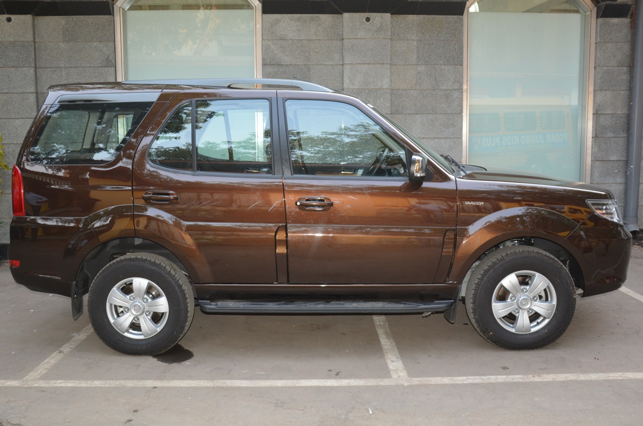 safari storme brown colour