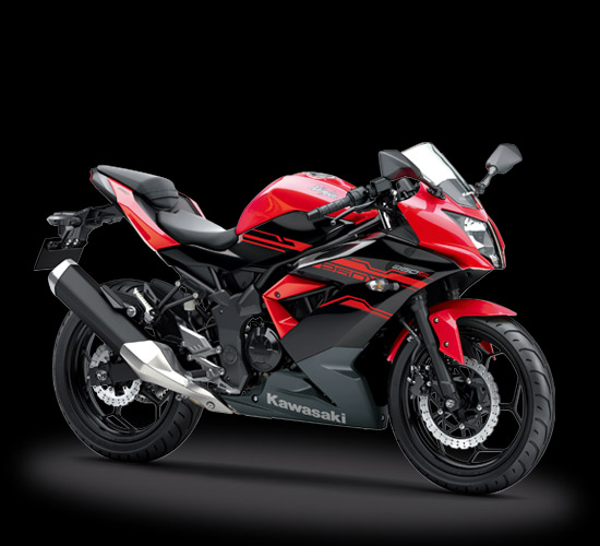 Kawasaki ninja store 250sl