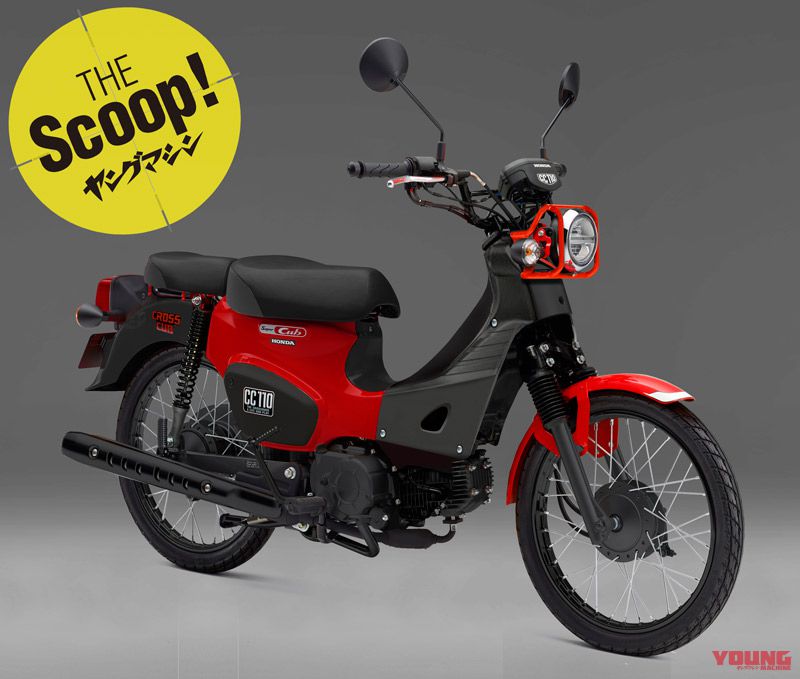 Honda store cub 2018