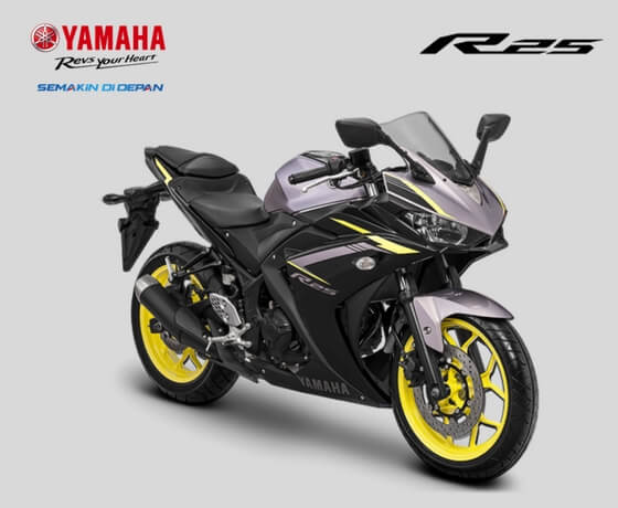 Yamaha all 2025 new r25 2021