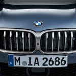 2018 BMW 8 Series Coupe BMW Kidney Grille