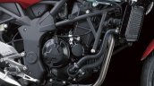 Kawasaki Ninja 250 RR Mono engine and radiator detail press shot