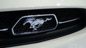 Ford Mustang 50 year limited edition grille at the 2014 New York Auto Show