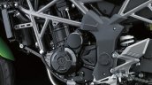 2014 Kawasaki Z250 SL press shots engine