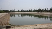 Hyundai India Chennai factory rain water harvesting pond
