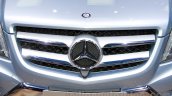 Mercedes GLK 300 4MATIC Luxury Prime Edition grille at Guangzhou Auto Show 2014