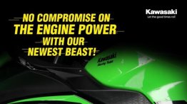 BS6 Kawasaki Ninja 300 Specs Revealed, No Loss in Power