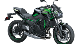 Kawasaki Z650 Colour Updated for MY2022, Price Remains Unchanged