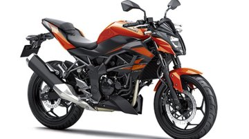 IAB Report - Kawasaki Z250 SL launched in Indonesia at INR 2.03 lakhs