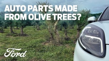 Ford's Green Drive with Olive Tree Waste for Future Car Parts