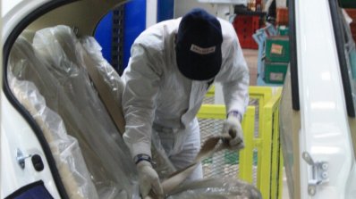 Honda Cars India Tapukara Plant rear seatbelt checks live