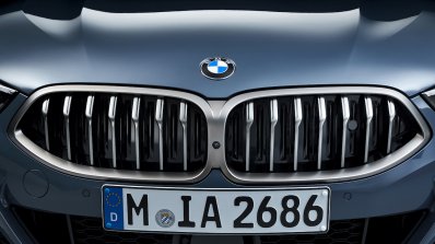 2018 BMW 8 Series Coupe BMW Kidney Grille