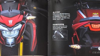 Suzuki Gsx S300 Haojue Dr300 Brochure Page