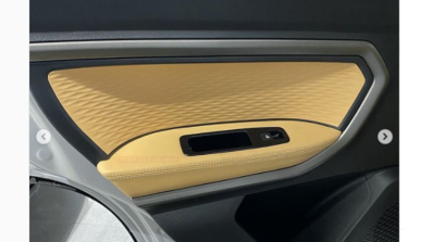 Renault Kiger Custom Interior Package 2 Rear Door