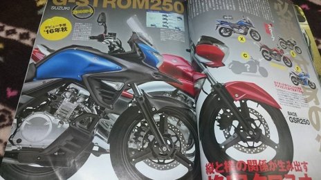 Suzuki G-Strom 250 adventure tourer - Rendering