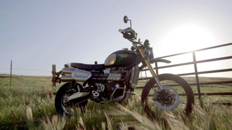 New Triumph Scrambler 1200 Steve McQueen Edition Launched in India