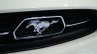 Ford Mustang 50 year limited edition grille at the 2014 New York Auto Show