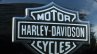 Harley Davidson Street 750 badge on fuel tank