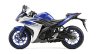 2015 Yamaha YZF-R3 profie