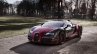 Bugatti Veyron Grand Sport Vitesse La Finale press image