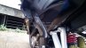 Bajaj Pulsar RS200 Demon Black cowl (Fear the Black)