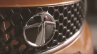 Tata Kite grille teased in video