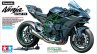 Kawasaki H2R Tamiya scale model completed