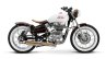 Royal Enfield Classic 500 custom build by In line3 Customs