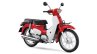 Honda Super Cub Red White press shot