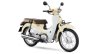 Honda Super Cub White press shot