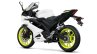 2019 Yamaha Yzf R125 Studio Shots Left Rear Quarte