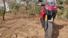 Ducati Multistrada 950 Front