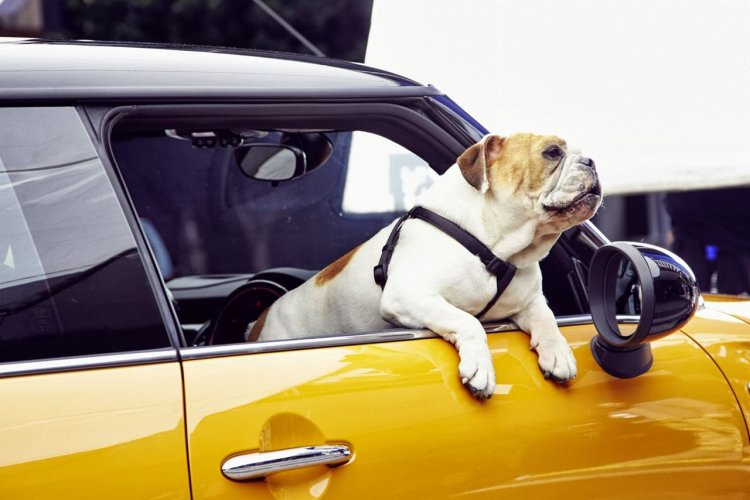 2014 MINI teased in new commercial