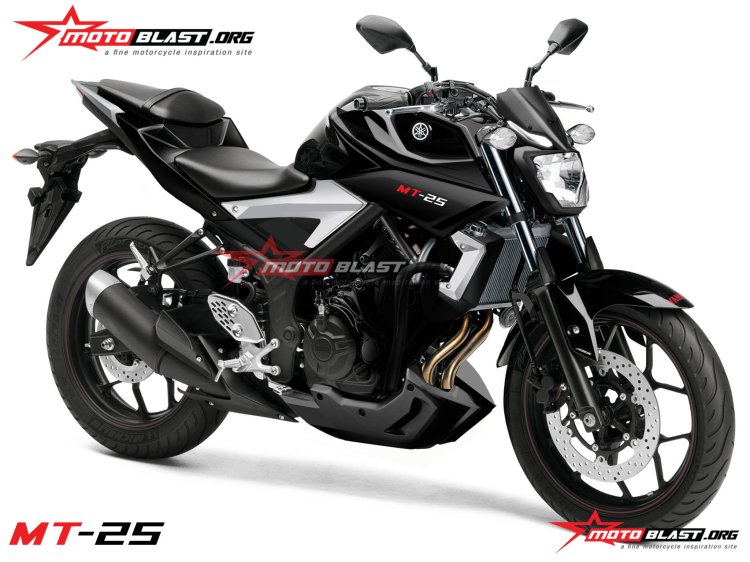 Yamaha mt deals 25