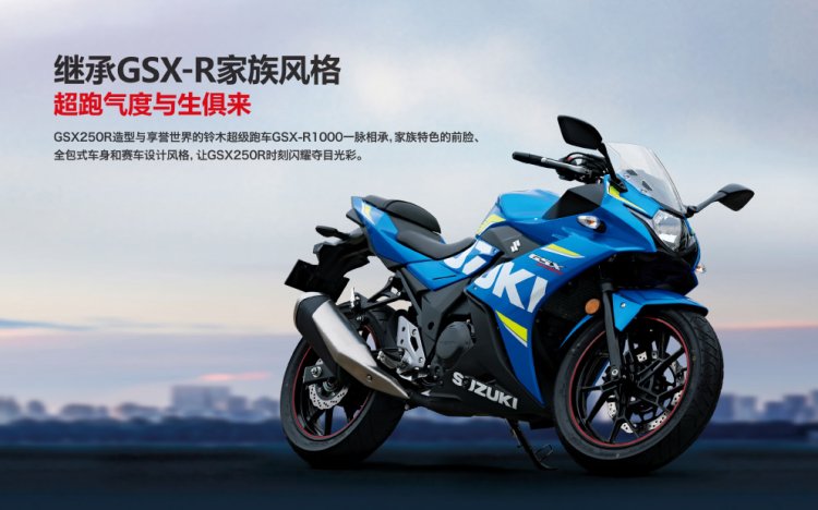 Suzuki GSX-250R