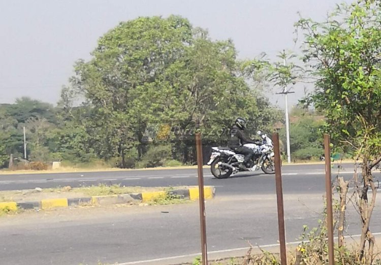 Bajaj Pulsar 220 Abs Spied 1