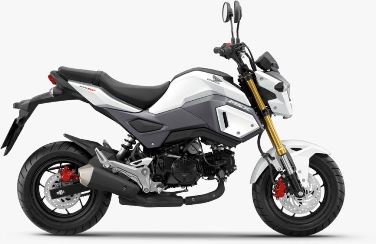 Honda Grom Side View