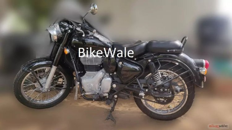 royal enfield classic 35 rear brake shoe price