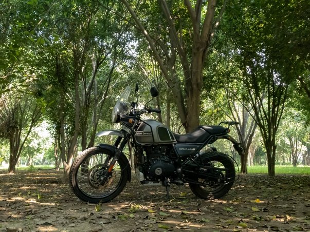 Himalayan 2020 deals review