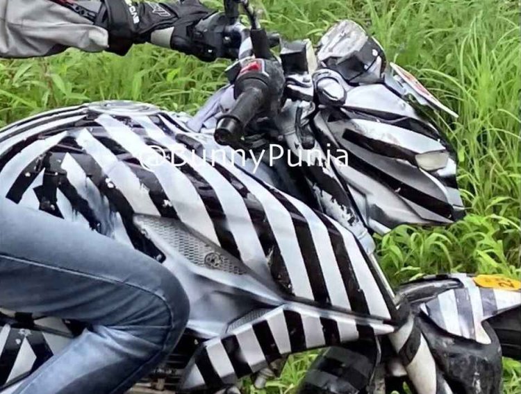 Bajaj Pulsar Ns250 Spy Right Half Closeup