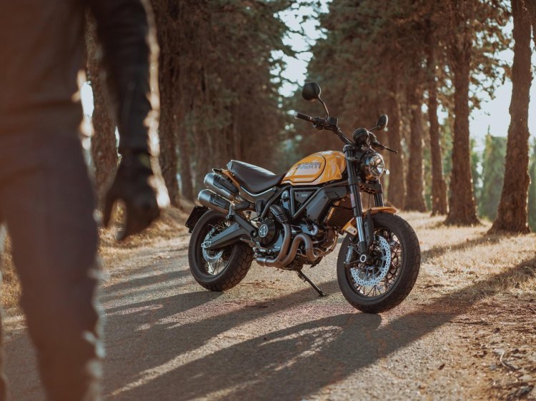 2022 Ducati Scrambler Tribute 1100 Pro Forest