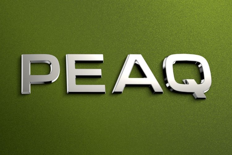 Skoda Peaq Logo