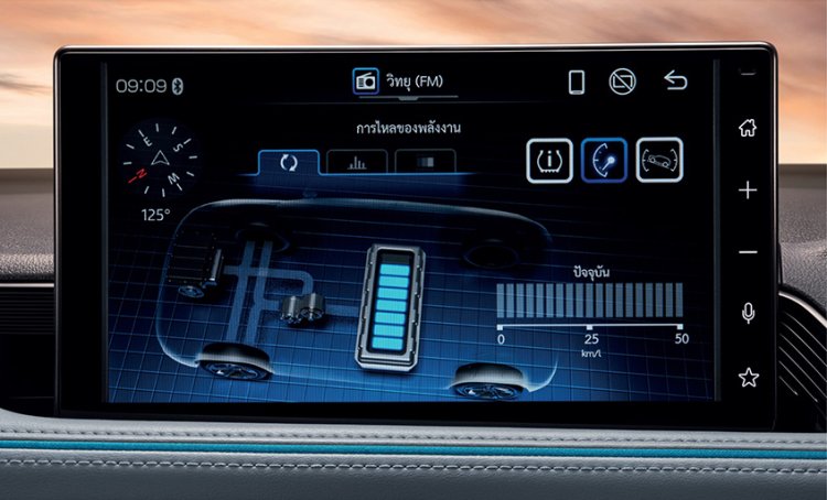 Pioneer Display Audio