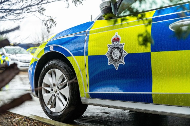 Skoda Police Car Logo Front Door