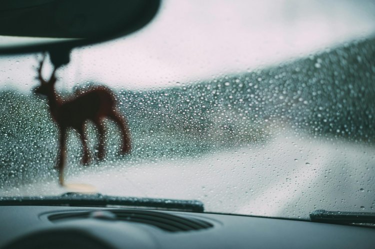 Car In Rain Water Drops On Windshielf Rain Repella