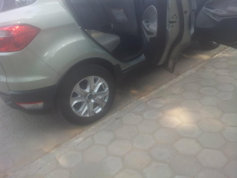 Ford EcoSport light door inserts