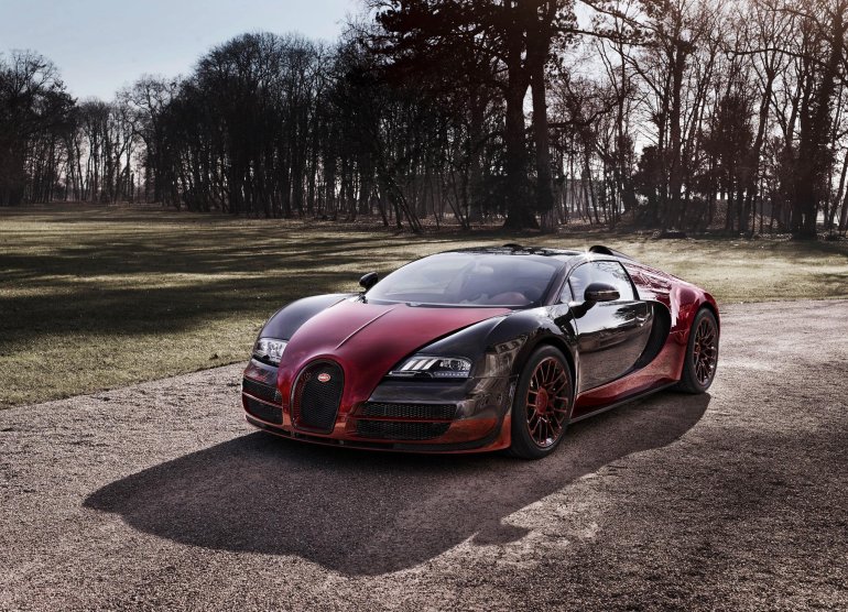 Bugatti Veyron Grand Sport Vitess La Finale press shot