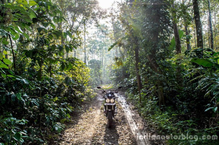 Mahindra Mojo forest top review